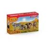 Image de Kit de base Wild Life - 42387 - Gamme Wild Life