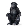 Image de 14875 - Wild Life Femelle Bonobo