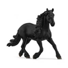 Image de 13975 Etalon frison