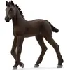 Image de 13977 - Poulain Frison HORSE CLUB -