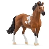 Image de 13978 Etalon mangalarga marchador