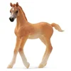 Image de Figurine - Poulain Arabe