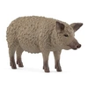Image de 14892 Cochon Mangalica