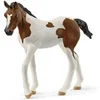 Image de 14899 Poulain Paint Horse