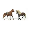 Image de Mes premiers chevaux - paso péruvien