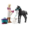 Image de Figurine Mini Monde - Sofia soigne son poulain
