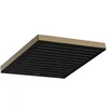 Image de Douche de tête Pulsify E 260 EcoSmart Bronze Brossé