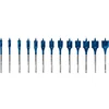 Image de Bosch Accesorios Fraise à Queue Expert Self Cut 10/12/13/14/16/18/20/22/24/25/28/30/32 Mm 13 Pièces One Size