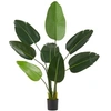 Image de Arbre oiseau du paradis avec de grandes feuilles PEVA écologiques vert