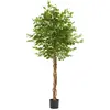 Image de Ficus artificiel à l'aspect naturel avec beaucoup de volume entretien facile vert