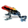 Image de Figurine grenouille venimeuse Amazonica