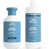 Image de Shampoing Purifiant Oily Scalp Invigo 300ml / 1000ml