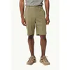 Image de Jack Wolfskin - Desert Shorts - Short randonnée homme Bay Leaf - EU 52