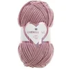 Image de Découvrez le Confort et la Douceur de la Pelote Velours Creative Chenillove 100GR de(...) - 17 Baie
