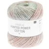 Image de Creative Painted Power Cotton DK 100g de : Couleurs vibrantes et douceur naturelle(...) - 08 Earthy Rainbow