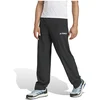 Image de Adidas Joggers Terrex Multi Liteflex
