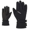 Image de Ziener - Klaire-Z Gtx + Gore Plus Warm - Gants ski femme Black - 7.5
