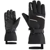 Image de Ziener - Galerius-Z Gtx - Gants ski homme Black / White - 7.5