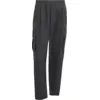 Image de adidas - Terrex Xploric Clima365 Cargo Pants - Pantalon randonnée homme Black - S
