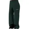 Image de adidas - Terrex Multi 2L Insulated Pant - Pantalon ski homme Aurora Ivy - XL
