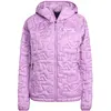Image de Doudoune femme adidas Terrex Xperior PRIMALOFT Violet M JN3202