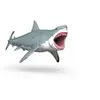 Image de - 15055 - Mégalodon