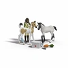 Image de Figurine Soins pour les bébés animaux de Sarah, 42777 Gamme Horse Club