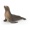 Image de 14933 Otarie Wild life collection