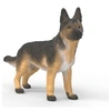 Image de Berger allemand