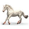 Image de Horse Club Jument Knabstrupper