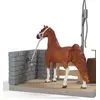 Image de Lavage De Chevaux De Sofia