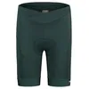 Image de Maloja - MinorM. Short - Cuissard vélo femme Mountain Pine - L