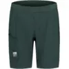 Image de Maloja - StagiasM. - Short VTT homme Mountain Pine - M