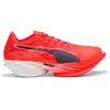 Image de Puma - Fast-R Nitro Elite 3 Wns - Chaussures running femme Ultra Red-Inky Depths-PUMA White - 40