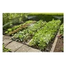 Image de Kit de démarrage pour surface plantée Micro-Drip System 13015-20 Ø 13 mm (1/2) 25 m