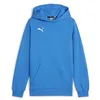 Image de Puma Garçon Teamgoal Casuals Sweat À Capuche Jr Pull, Bleu Ignite - Blanc Puma, 164 EU en occasion ou reconditionné