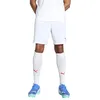 Image de Puma teamGOAL Shorts, Short en Maille Adultes Unisexes, Puma White-Puma Black, 705752 en occasion ou reconditionné