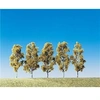 Image de - Modélisme accessoires de décor - Végétation - Arbres : 5 bouleaux