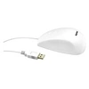 Image de KeySonic KSM-3020M-W - Souris - 5 boutons - filaire - USB - blanc