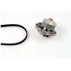 Image de Pompe À Eau + Kit De Courroie De Distribution Pk05150 Hepu Hepu Pk05150 Audi;Volkswagen
