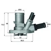 Image de Thermostat D'Eau Mahle Ti14988 Fiat;Ford;Lancia