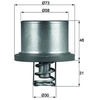 Image de Thermostat D'Eau Mahle Thd289 Porsche
