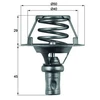 Image de Thermostat, Liqiuide De Refroidissement Behr Mahle Tx6691d Renault