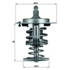 Image de Thermostat, Liqiuide De Refroidissement Behr Mahle Tx8280d Daihatsu;Subaru;Toyota
