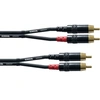 Image de Câble Audio Double RCA 6 M