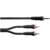 Image de Câble Y Bretelle Mini-jack Stéréo / 2 RCA 1 M Câbles adaptateur