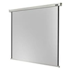 Image de Professional electric - Ecran de projection - montable au plafond, montable sur mur - motorisé - 230 V - 64" (163 cm) - 1:1 - blanc