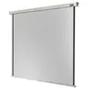 Image de Professional electric - Ecran de projection - montable au plafond, montable sur mur - motorisé - 230 V - 153" (389 cm) - 1:1 - blanc
