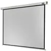 Image de Professional electric - Ecran de projection - montable au plafond, montable sur mur - motorisé - 230 V - 84" (213 cm) - 4:3 - blanc