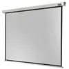 Image de Professional electric - Ecran de projection - montable au plafond, montable sur mur - motorisé - 230 V - 113" (288 cm) - 4:3
